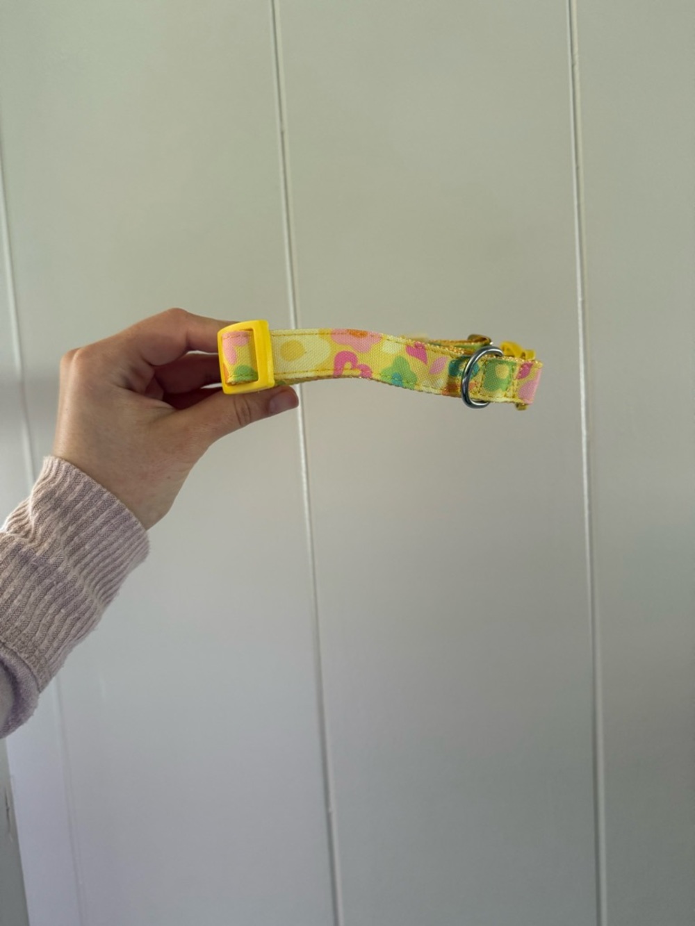 Dog Collar